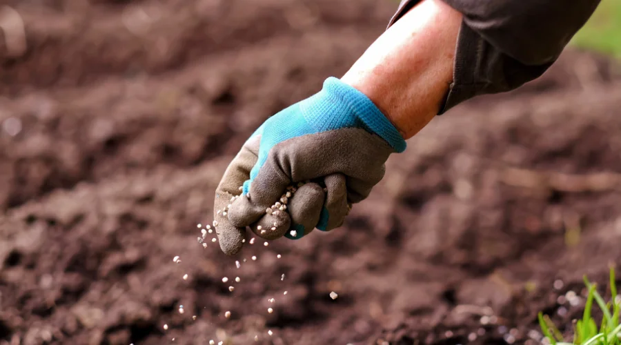 Blog Featured Image 900x500 26.png