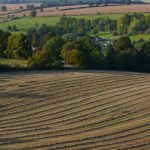 Fields N