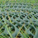 Grassprotecta02 1024x768