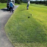 Grassprotecta05